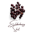 Elderberry Shot